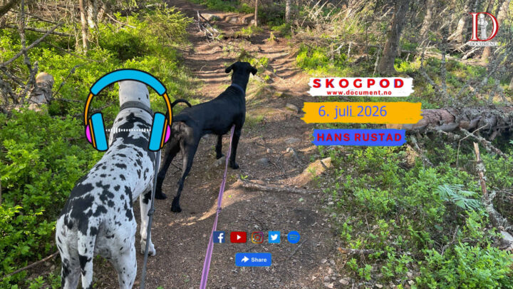 Skogpod 6. juli 2026