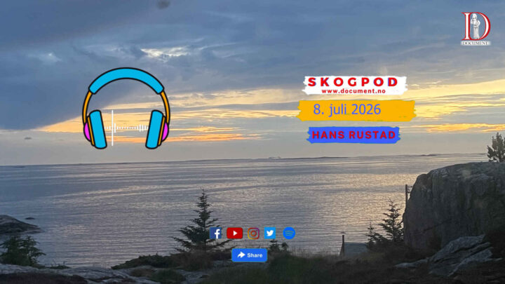 Skogpod 8. juli 2026
