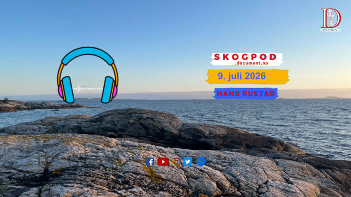 Skogpod 9. juli 2026
