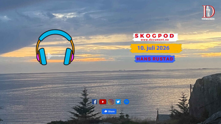 Skogpod 10. juli 2026