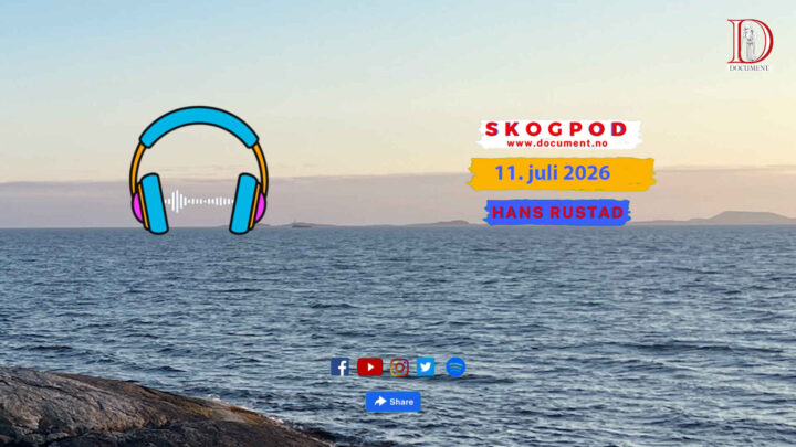 Skogpod 11. juli 2026