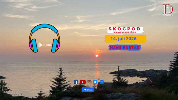 Skogpod 14. juli 2026