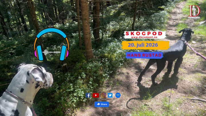 Skogpod 20. juli 2026