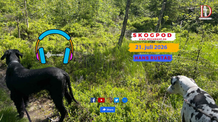 Skogpod 21. juli 2026
