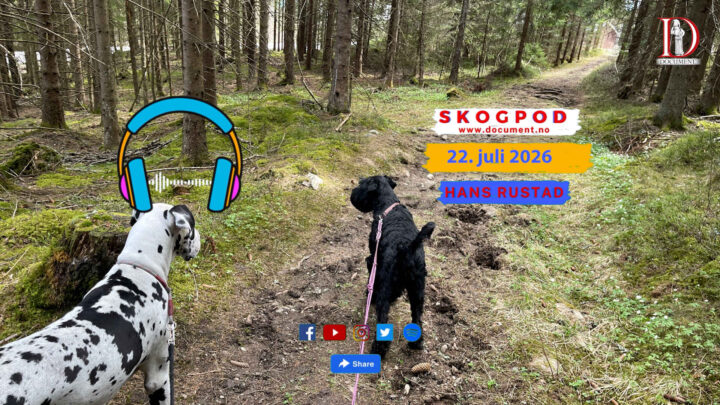 Skogpod 22. juli 2026