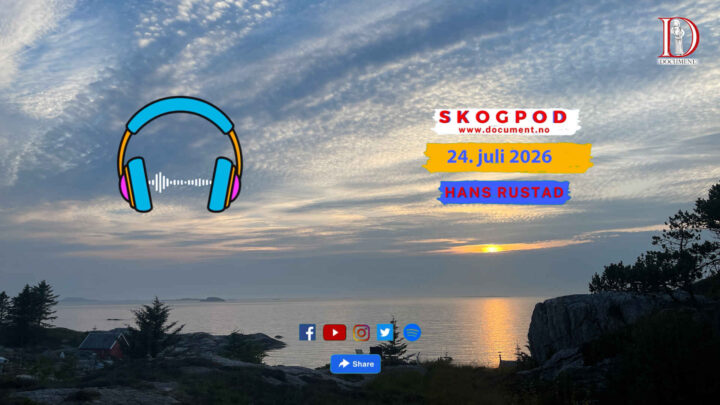 Skogpod 24. juli 2026