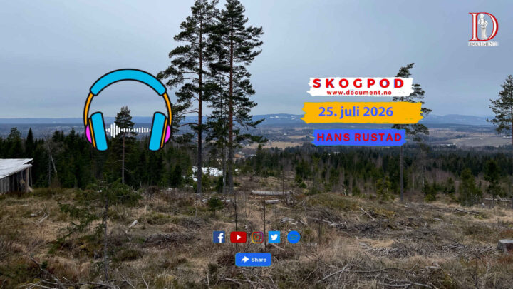 Skogpod 25. juli 2026