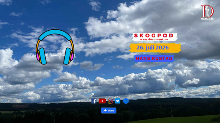Skogpod 26. juli 2026