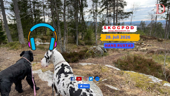 Skogpod 28. juli 2026