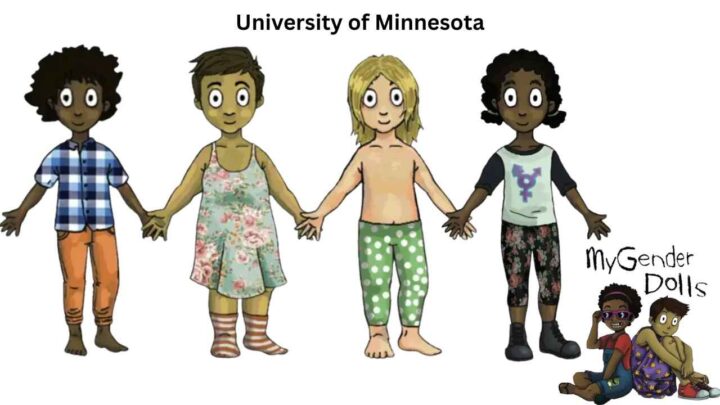 Minnesota lanserer trans&shy;dukker med utskift&shy;bare kjønns&shy;organer for 4-åringer